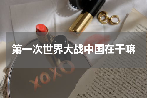 第一次世界大战中国在干嘛