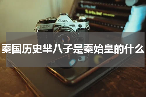 秦国历史芈八子是秦始皇的什么