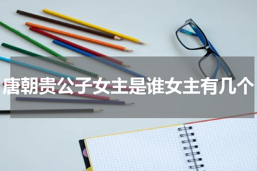 唐朝贵公子女主是谁女主有几个