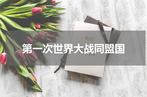 第一次世界大战同盟国