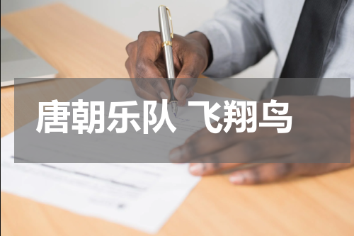 唐朝乐队 飞翔鸟
