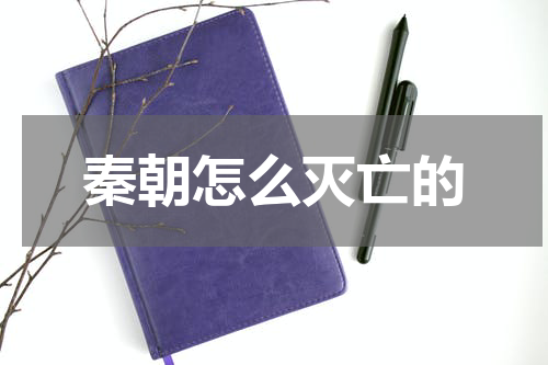 秦朝怎么灭亡的