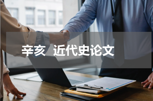 辛亥  近代史论文