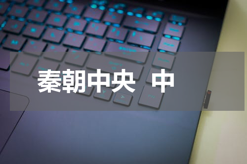 秦朝中央  中