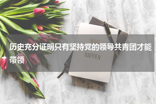 历史充分证明只有坚持党的领导共青团才能带领