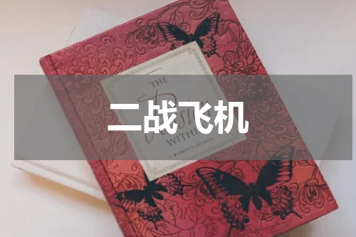 二战飞机