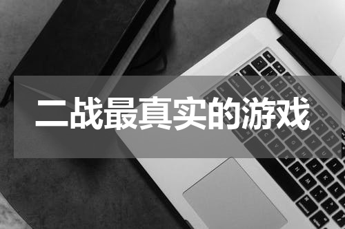 二战最真实的游戏