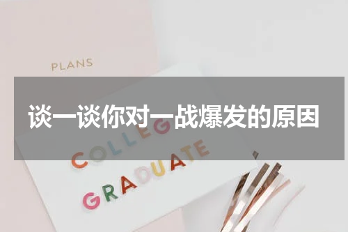 谈一谈你对一战爆发的原因
