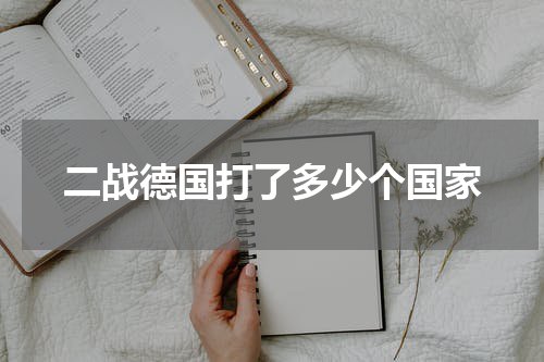 二战德国打了多少个国家