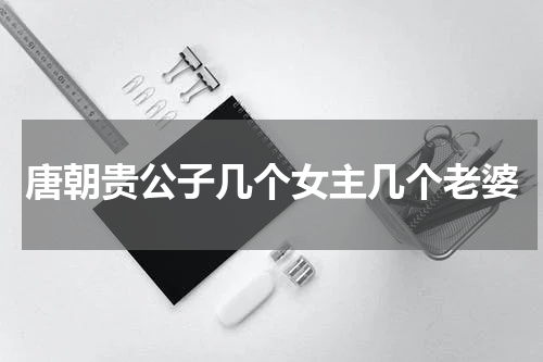 唐朝贵公子几个女主几个老婆