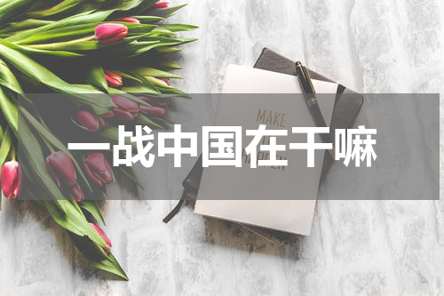 一战中国在干嘛