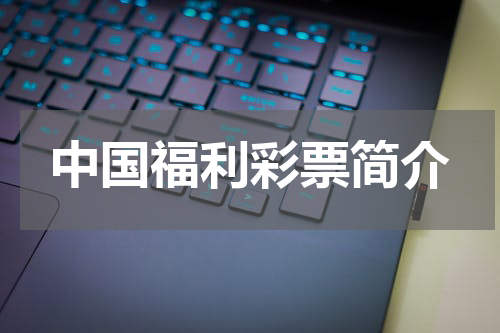 中国福利彩票简介