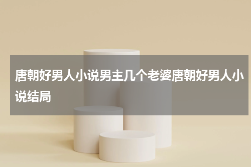 唐朝好男人小说男主几个老婆唐朝好男人小说结局