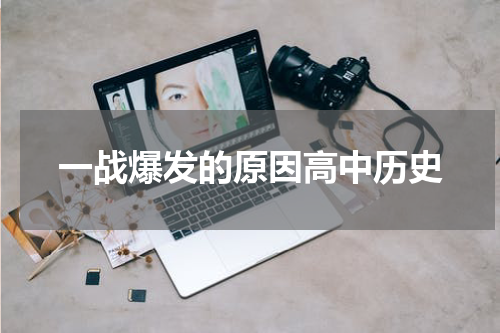 一战爆发的原因高中历史