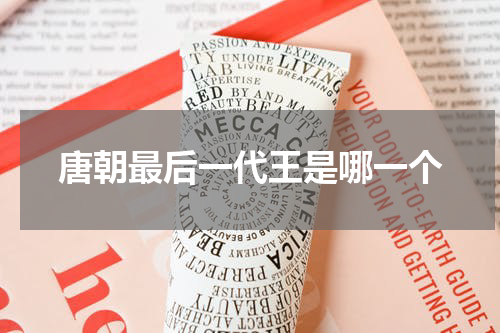 唐朝最后一代王是哪一个
