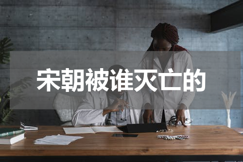 宋朝被谁灭亡的