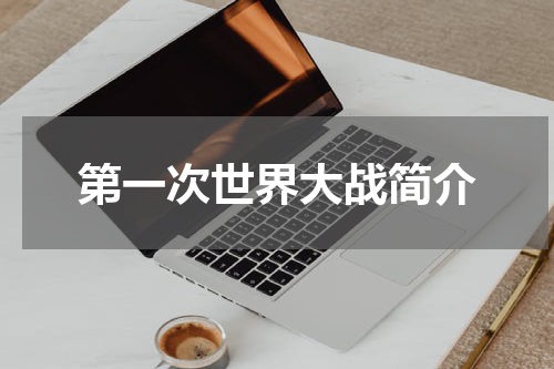 第一次世界大战简介