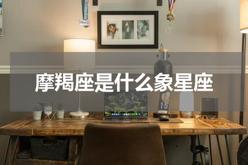 摩羯座是什么象星座