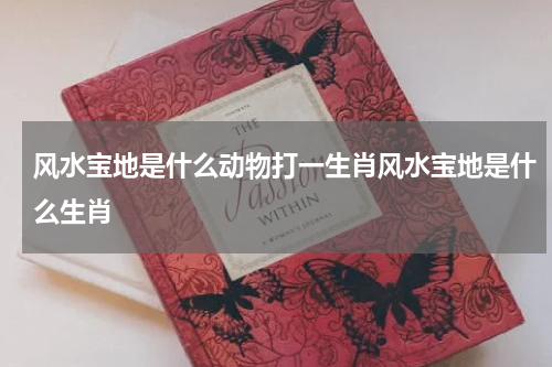 风水宝地是什么动物打一生肖风水宝地是什么生肖