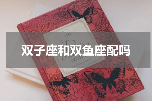 双子座和双鱼座配吗