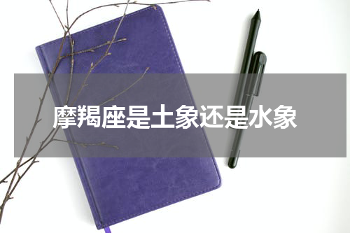 摩羯座是土象还是水象