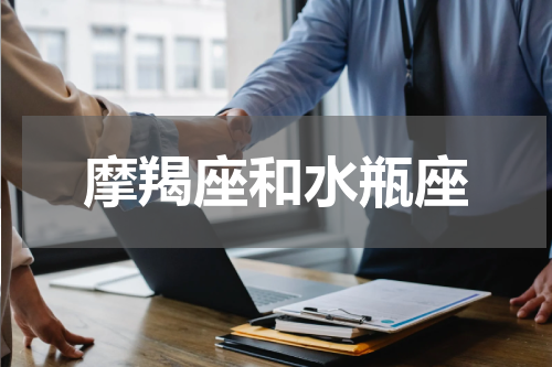 摩羯座和水瓶座