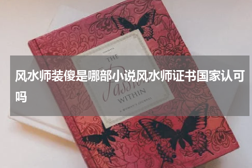 风水师装傻是哪部小说风水师证书国家认可吗