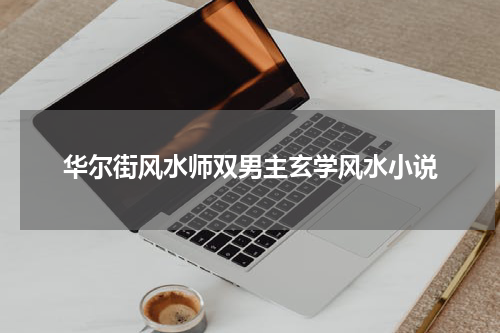 华尔街风水师双男主玄学风水小说