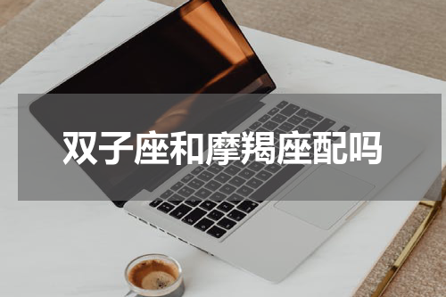 双子座和摩羯座配吗