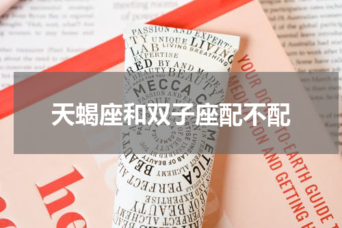天蝎座和双子座配不配