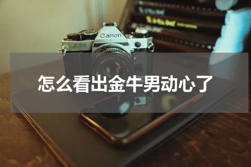 怎么看出金牛男动心了