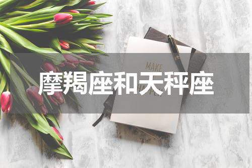 摩羯座和天秤座