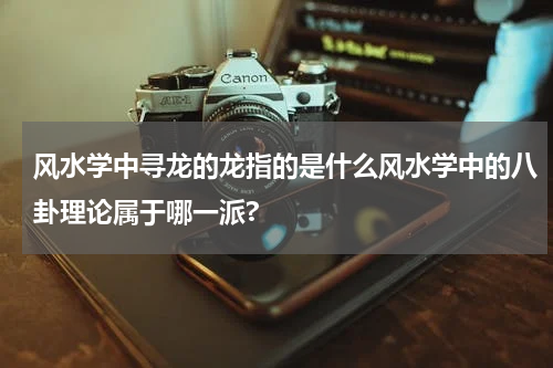 风水学中寻龙的龙指的是什么风水学中的八卦理论属于哪一派?