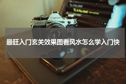 最旺入门玄关效果图看风水怎么学入门快