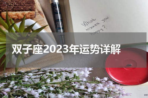双子座2023年运势详解