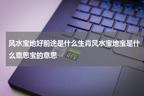 风水宝地好前途是什么生肖风水宝地宝是什么意思宝的意思