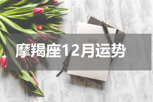 摩羯座12月运势