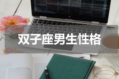 双子座男生性格