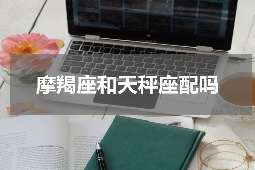摩羯座和天秤座配吗