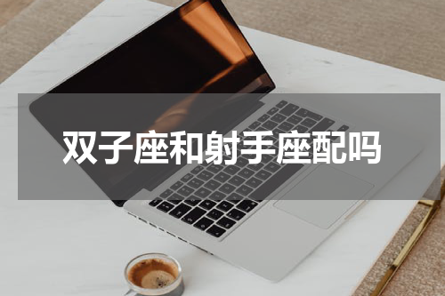 双子座和射手座配吗