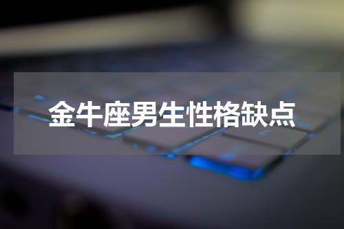 金牛座男生性格缺点