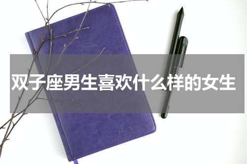 双子座男生喜欢什么样的女生