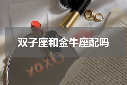 双子座和金牛座配吗