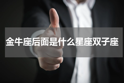金牛座后面是什么星座双子座