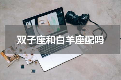 双子座和白羊座配吗