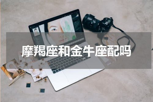 摩羯座和金牛座配吗