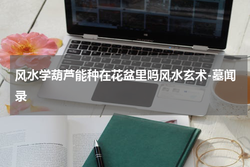 风水学葫芦能种在花盆里吗风水玄术-墓闻录