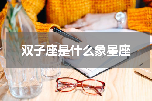 双子座是什么象星座