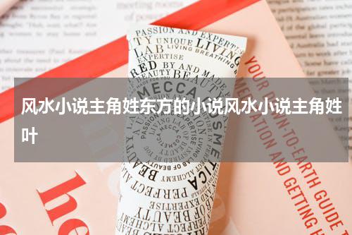 风水小说主角姓东方的小说风水小说主角姓叶