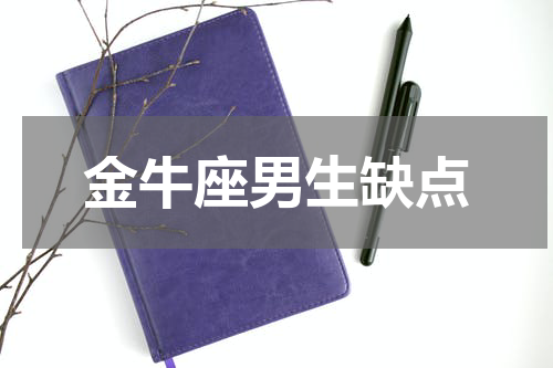 金牛座男生缺点